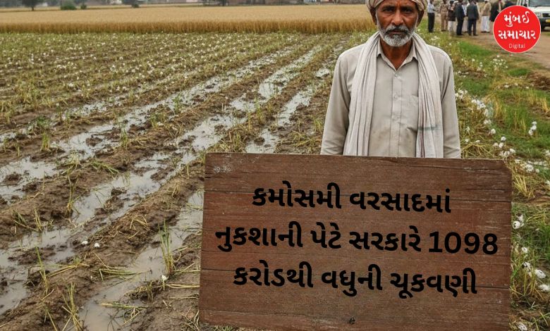 ગુજરાતમાં કમોસમી વરસાદમાં પાક નુકશાની પેટે સરકારે  1098  કરોડથી વધુની ચૂકવણી કરી
