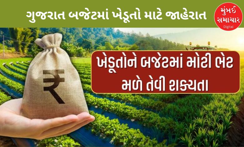 ગુજરાત બજેટમાં ખેડૂતો માટે શું થઈ મોટી જાહેરાત ?