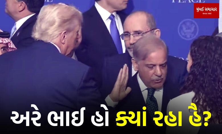 ટ્રમ્પ સામે શાહબાઝ શરીફની 'ખુશામતખોરી': સેલ્યુટ કરતો વીડિયો વાયરલ...