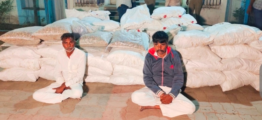 ખેતીવાડીના આડે નશાનો કારોબાર: ભાવનગરમાં બે ભાઈઓ ૧૦.૯૨ કરોડના અફીણ-ગાંજાની ખેતી કરતા ઝડપાયા