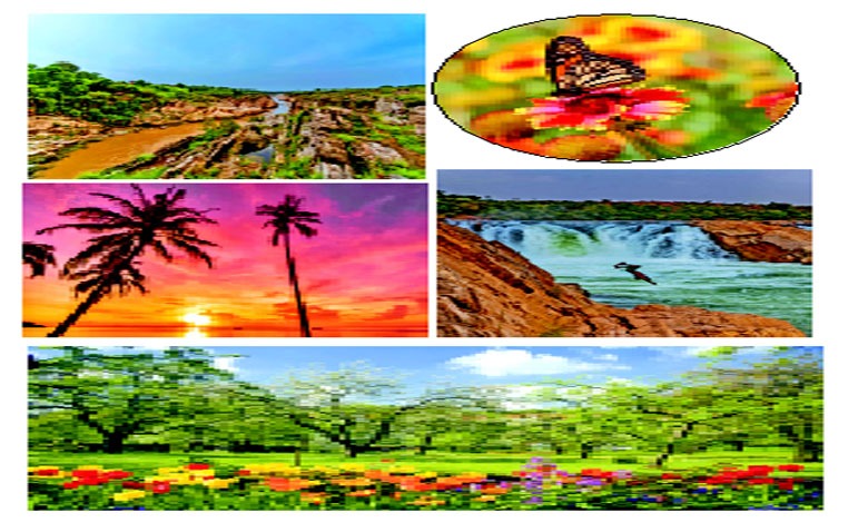 પ્રકૃતિમાં વસંતનાં વધામણાં