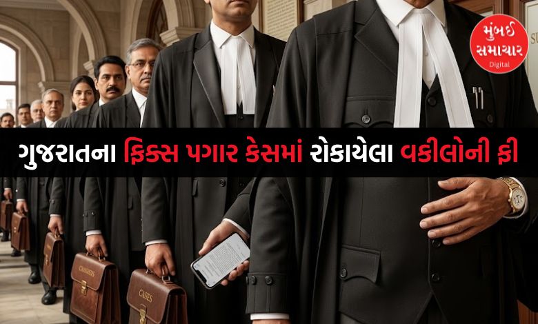 ગુજરાત સરકારે ટોચના વકીલને દિવસના 5.50 લાખ નક્કી કર્યા, કોને કેટલા ચૂકવાયા