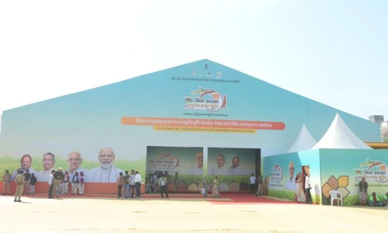 અમદાવાદ સહિત રાજ્યની 166 મનપામાં મિલેટ મહોત્સવ અને ફાર્મર માર્કેટનું આયોજન: ક્યારે શરૂ થશે?