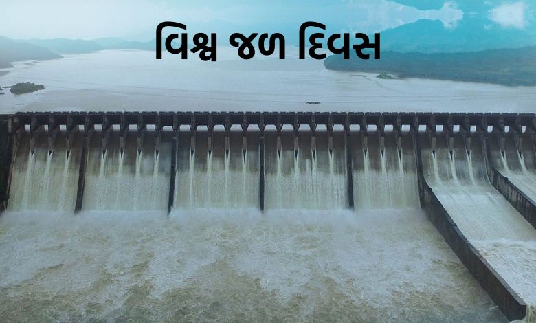 જીવનદાયિની નર્મદા : સરદાર સરોવર ડેમ ગુજરાતની જળસુરક્ષા અને વિકાસનો આધાર