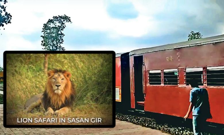 સાસણમાં સાવજને જોવા હવે ગ્લાસ રૂફ વિસ્ટાડોમ કોચ દોડાવશે રેલવે