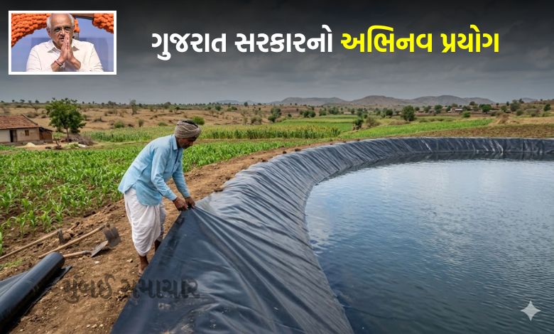 ગુજરાતમાં ભૂગર્ભજળ સ્તર ઉંચા લાવવા પ્રયાસ, ખેત તલાવડી માટે 15મે સુધી ઓનલાઇન અરજી કરી શકાશે