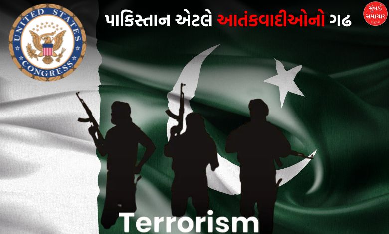 દોસ્ત બનવા ગયેલા પાકિસ્તાનને અમેરિકાએ આતંકીઓનો ગઢ ગણાવ્યો: USના રિપોર્ટથી ખળભળાટ