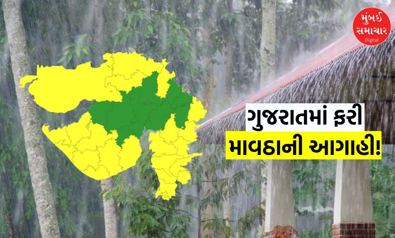 વેસ્ટર્ન ડિસ્ટર્બન્સની અસર: ગુજરાત - મહારાષ્ટ્ર સહિત અનેક રાજ્યોમાં વરસાદ અને કરા પડવાની આગાહી