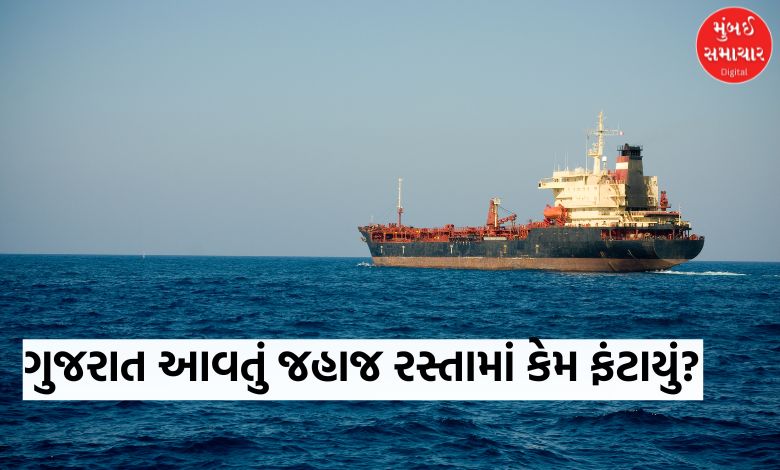 ઈરાનથી પેટ્રોલિયમ ભરીને ભારત આવી રહેલું જહાજ અચાનક ચીન તરફ રવાના! જાણો શું છે કારણ