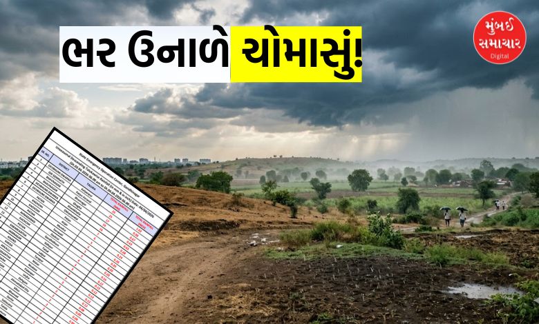 ગુજરાતમાં એપ્રિલમાં અષાઢી માહોલ, જાણો છેલ્લા 24 કલાકમાં ક્યાં પડ્યો સૌથી વધુ કમોસમી વરસાદ