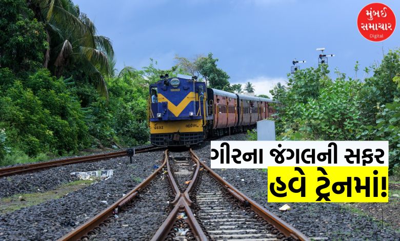 સૌરાષ્ટ્રના પ્રવાસને બનાવો યાદગાર! ગીર સોંસરવી મુસાફરી કરાવતી મીટર ગેજ ટ્રેનનું જાણો નવું ટાઈમ ટેબલ