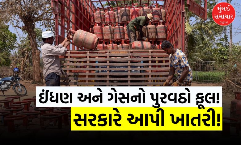 અફવાઓથી દૂર રહો! રાજ્યમાં પેટ્રોલ, ડીઝલ અને LPGની કોઈ અછત નથી: સરકારે આપી ખાતરી