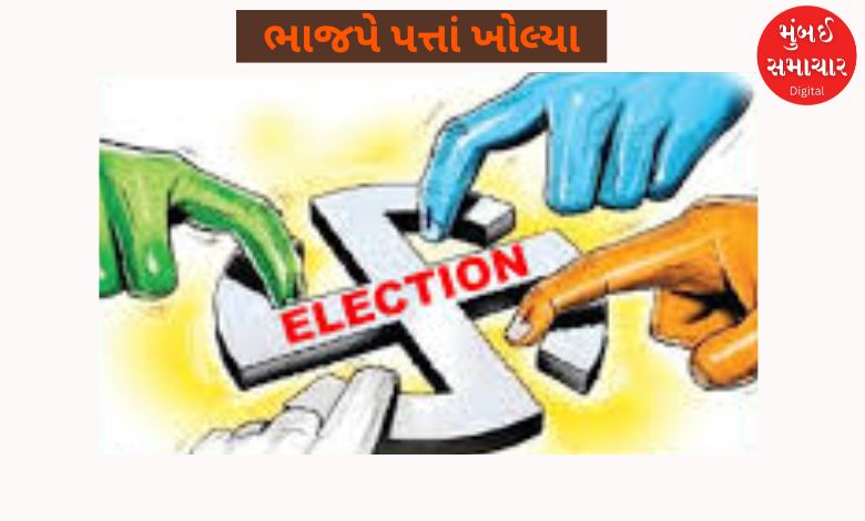 અમદાવાદ જિલ્લાની તાલુકા પંચાયત અને નગરપાલિકા માટે ભાજપે ઉમેદવારોના નામ કર્યા જાહેર, જુઓ લિસ્ટ