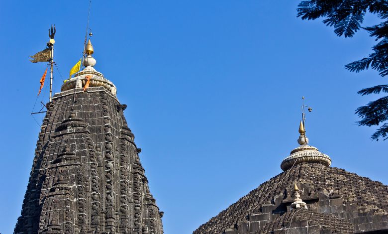 દર્શન કરાવવાને નામે ભક્તો પાસેથી પૈસા લેવાનું  રૅકેટ: ત્ર્યંબકેશ્વર મંદિર ટ્રસ્ટના ટ્રસ્ટીની ધરપકડ
