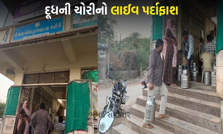 ડીસાના ગેનાજી ગોળીયામાં ડેરીમાંથી ટેસ્ટર રોજની 40 લિટર ચોરી કરતો, સીસીટીવીમાં પર્દાફાશ થયો