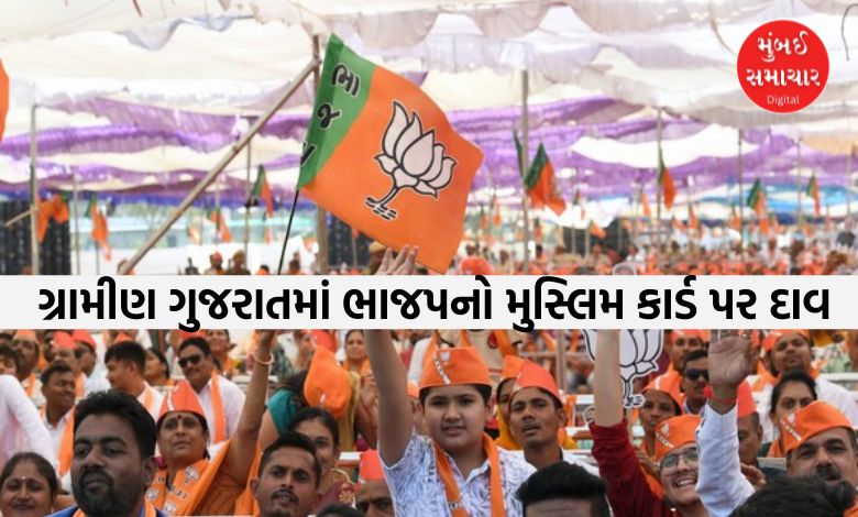 હિન્દુત્વની પ્રયોગશાળામાં ભાજપનો નવો પ્રયોગ: ગ્રામીણ ગુજરાતમાં મુસ્લિમ ઉમેદવારો પર ખેલ્યો મોટો દાવ