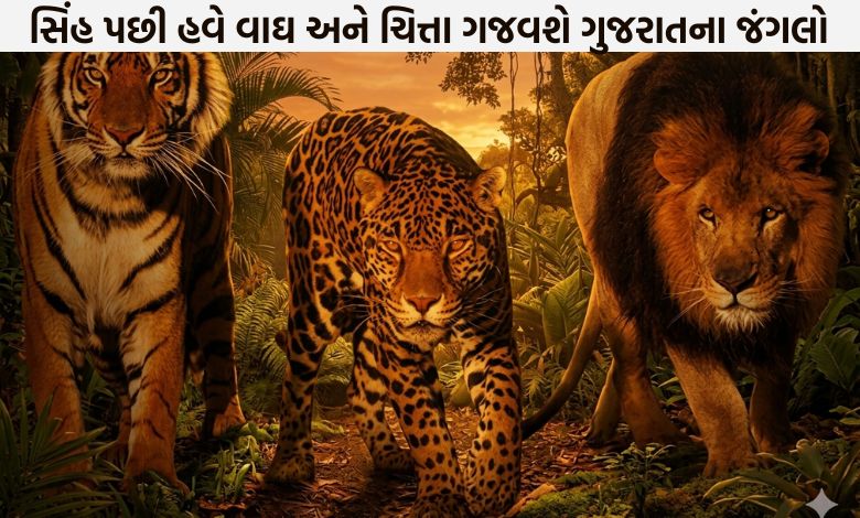 ગુજરાત બનશે 'બિગ કેટ'નું ઘર: વાઘ, ચિત્તા અને દીપડા માટે બનાવાશે સ્પેશિયલ કોરિડોર