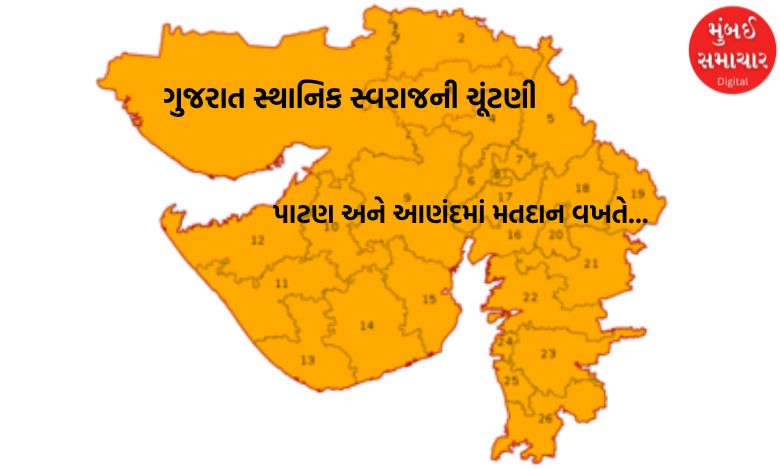 ગુજરાત સ્થાનિક સ્વરાજની ચૂંટણી: પાટણ અને આણંદમાં મતદાન વખતે હાર્ટ એટેકથી બે જણનાં મોત