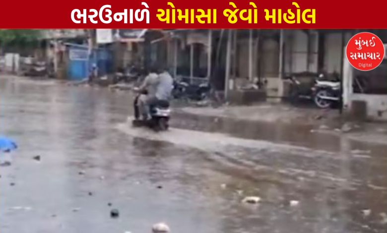 ગુજરાતના ક્યા ત્રણ તાલુકામાં ભર ઉનાળે પડ્યો વરસાદ ? સવારના પહોરમાં 1 ઇંચ સુધી વરસાદ ખાબક્યો