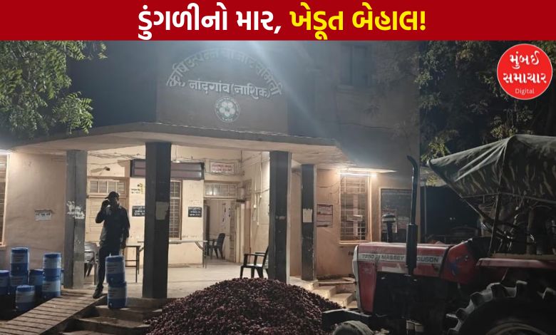 કાંદાના ભાવ ગબડ્યાં: નાશિકમાં ખેડૂતોનો ભારે રોષ, APMC વિસર્જિત કરવાની માંગ