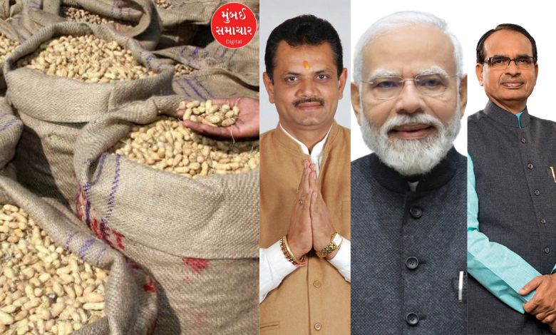 ગુજરાતના ખેડૂતો માટે સારા સમાચાર, મગફળીના ટેકાના ભાવમાં રૂ. 254 પ્રતિ ક્વિન્ટલનો વધારો