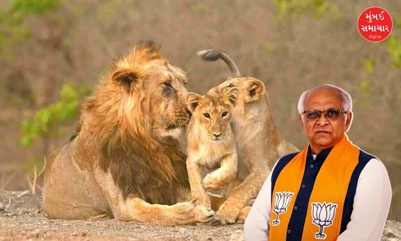 મુખ્ય પ્રધાન ભૂપેન્દ્ર પટેલે સાસણ ગીરથી 'લાયન કન્ઝર્વેશન' પ્રિ-ઈવેન્ટનો પ્રારંભ કરાવ્યો