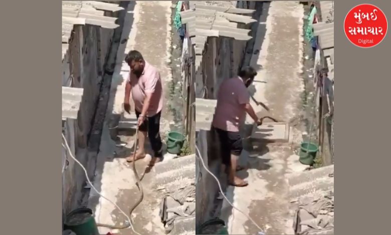 Video: સુરતમાં સાપની પૂંછડી પકડીને હીરો બનવા ગયેલા યુવકની  શું થઈ હાલત?