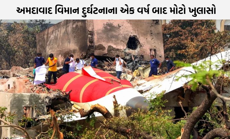 અમદાવાદ વિમાન દુર્ઘટનામાં પ્રત્યક્ષદર્શીનો મોટો દાવો, કહ્યું- કેપ્ટનના બંને હાથ સ્ટિયરિંગ પર હતા