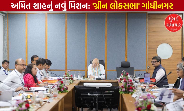 ગાંધીનગર લોકસભા બનશે ગ્રીન લોકસભા, કેન્દ્રીય પ્રધાન અમિત શાહે યોજી ઉચ્ચ સ્તરીય બેઠક