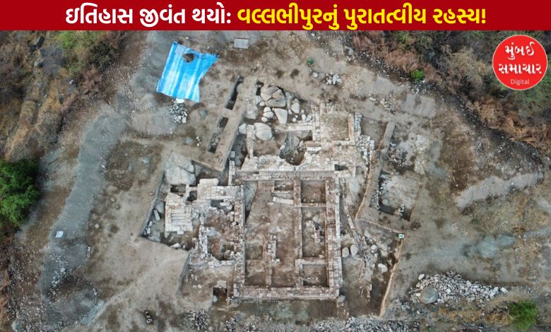 હ્યુ-એન-ત્સાંગે જેના વખાણ કર્યા હતા એ વલ્લભીપુરનો પ્રાચીન વૈભવ મળ્યો, ASI નું સફળ ઉત્ખનન