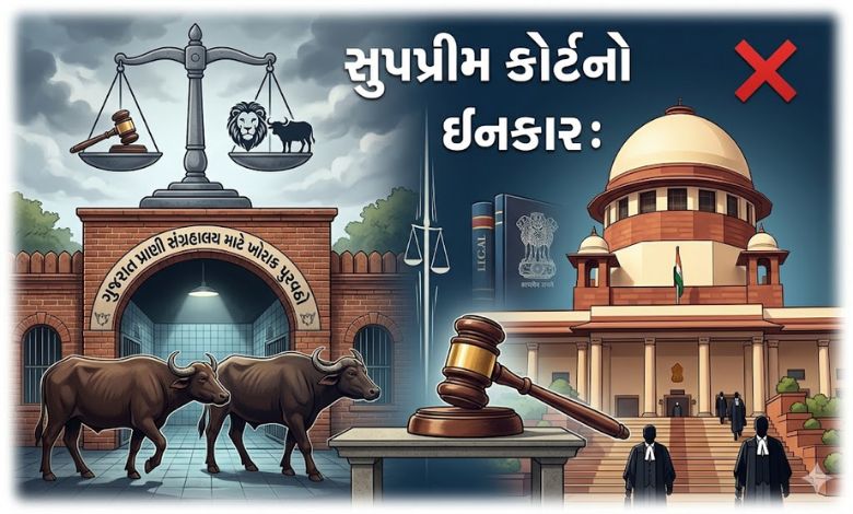 ગુજરાતમાં પ્રાણીસંગ્રહાલયમાં બે ભેંસોની કતલ કેસમાં સુપ્રીમ કોર્ટનો દખલનો ઇનકાર