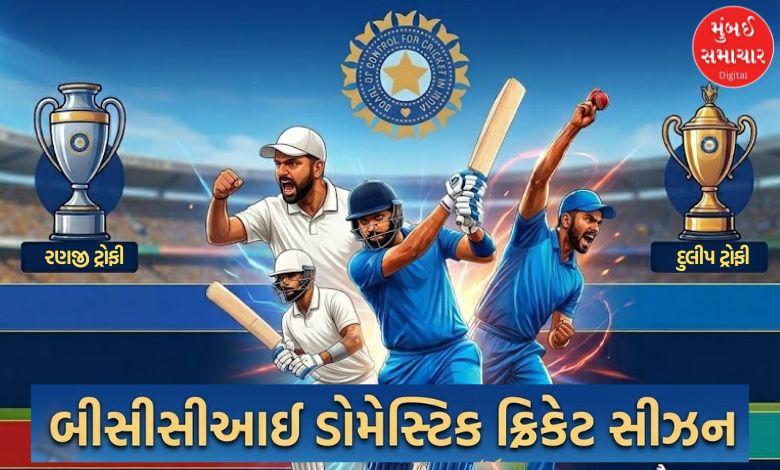 ક્રિકેટની નવી ડોમેસ્ટિક સીઝનમાં રમાશે 1,788 મૅચઃ જાણી લો, કઈ ટૂર્નામેન્ટ ક્યારથી રમાશે