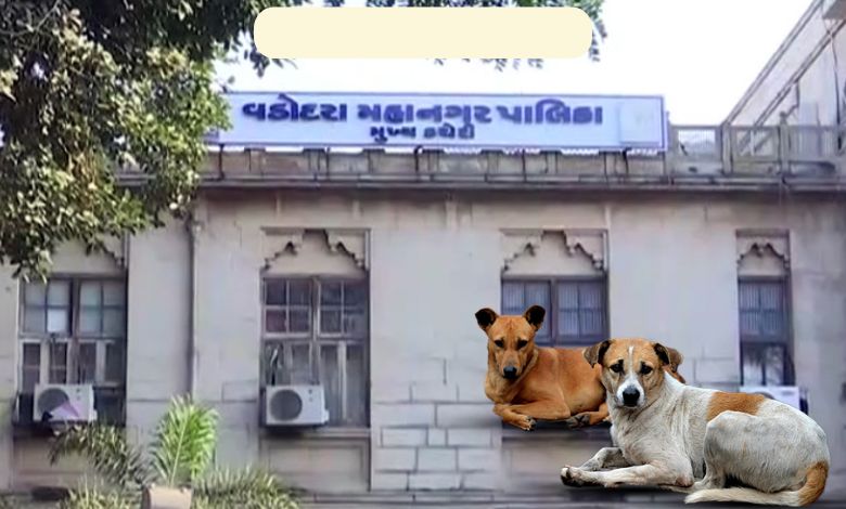વડોદરામાં 12 વર્ષ બાદ ટેકનોલોજીની મદદ વડે રખડતા શ્વાનોની ગણતરી શરૂ કરાશે