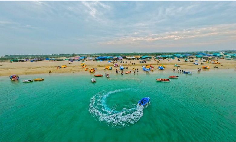 'ડોલ્ફિન જોવા વિદેશ જવાની જરૂર નથી... બસ ગુજરાત આવો!' જુઓ મનમોહક Video