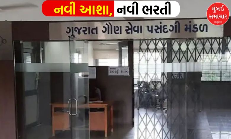 CCE માં ફોર્મ ભરવાનું ચૂકી ગયા છો? નિરાશ ન થશો, આવી રહી છે 3000 જગ્યાઓ માટે CCE 2 ની બમ્પર ભરતી?