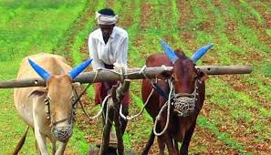 વિકાસના કામો માટે જમીન સંપાદીત કરવા નવો નિયમઃ સંપાદીત જમીન એક વર્ષ માટે બિનખેતી કરી શકાશે નહીં