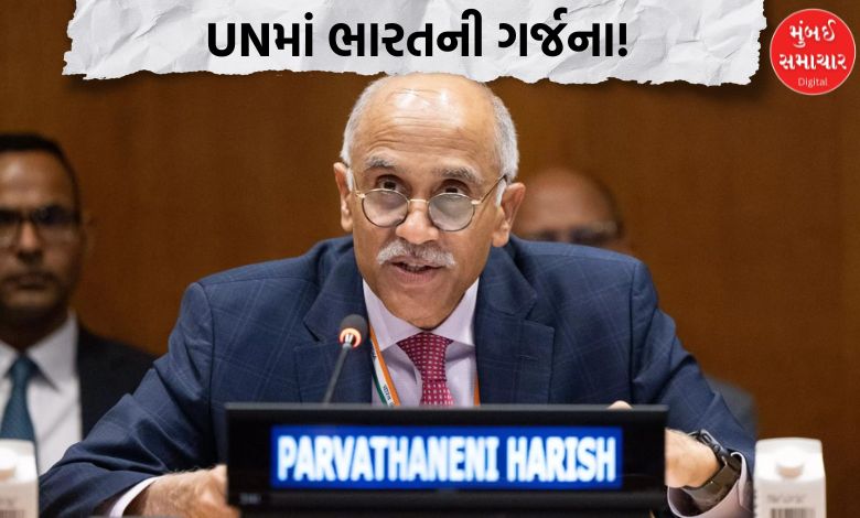 UNમાં પાકિસ્તાને કાશ્મીરનો રાગડો તાણતા ભારતે પરખાવ્યું રોકડું, કહ્યું, ''જવાબદારી સમજો, ડ્રામા ન કરો'