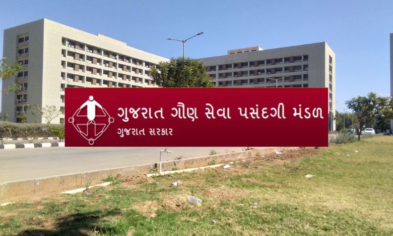 GSSSBની મોટી જાહેરાત: આ બે ભરતીમાં ફોર્મ ભરવાની મુદત લંબાઈ, જુનિયર ફાર્માસિસ્ટનો સિલેબસ જાહેર!