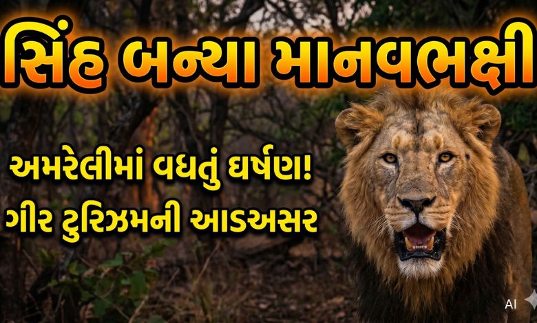 EXCLUSIVE: અમરેલીમાં સાવજના માનવી પર કેમ વધ્યા હુમલા? જાણો શું છે કારણ