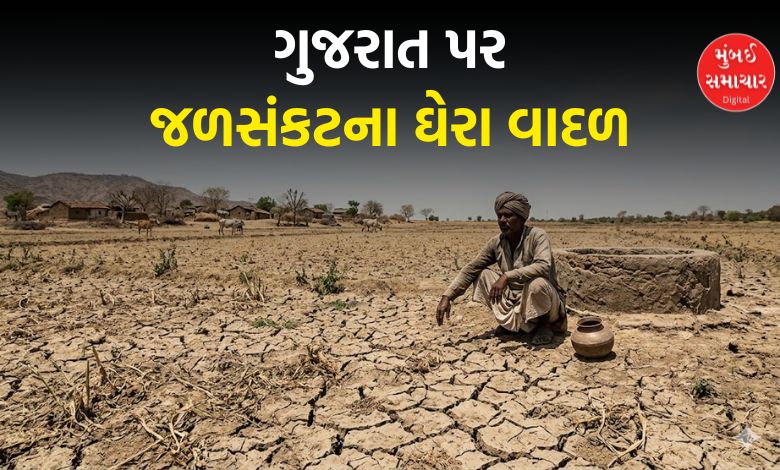 ચોમાસું બેઠા છતાં ગુજરાત કોરૂં ધાકોર: ચોમાસાના આરંભે જ 91 ટકા વરસાદની ઘટ, ખેડૂતો ચિંતામાં