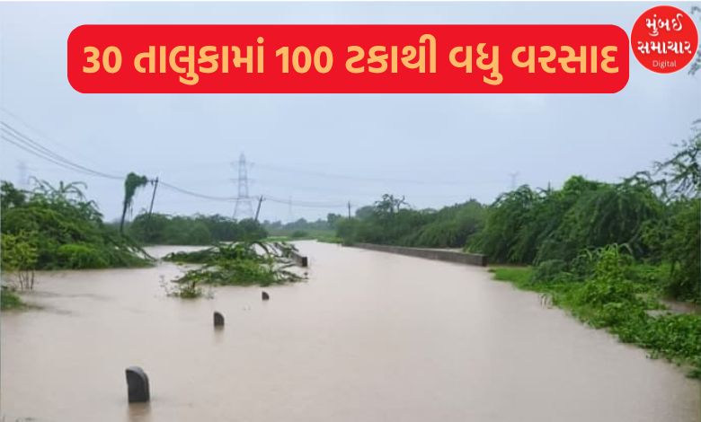 ગુજરાતમાં સિઝનનો 65 ટકા વરસાદ, આ 30 તાલુકાઓમાં 100 ટકાથી વધુ વરસાદ