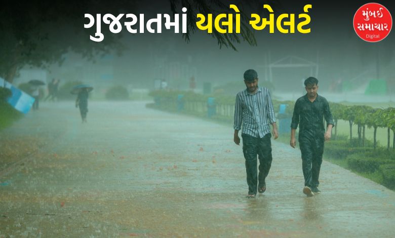 ગુજરાતમાં આજથી ભારે વરસાદની આગાહી: આ 8 જિલ્લામાં જાહેર કરાયું યલો એલર્ટ