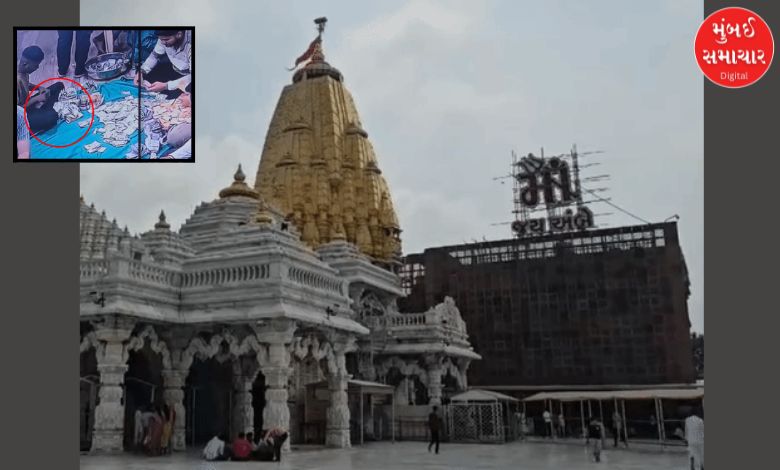 ગુજરાતના અંબાજીના મંદિરમાંથી દાન ચોરી, ત્રણની ધરપકડ પણ કઈ રીતે છૂટી ગયા?