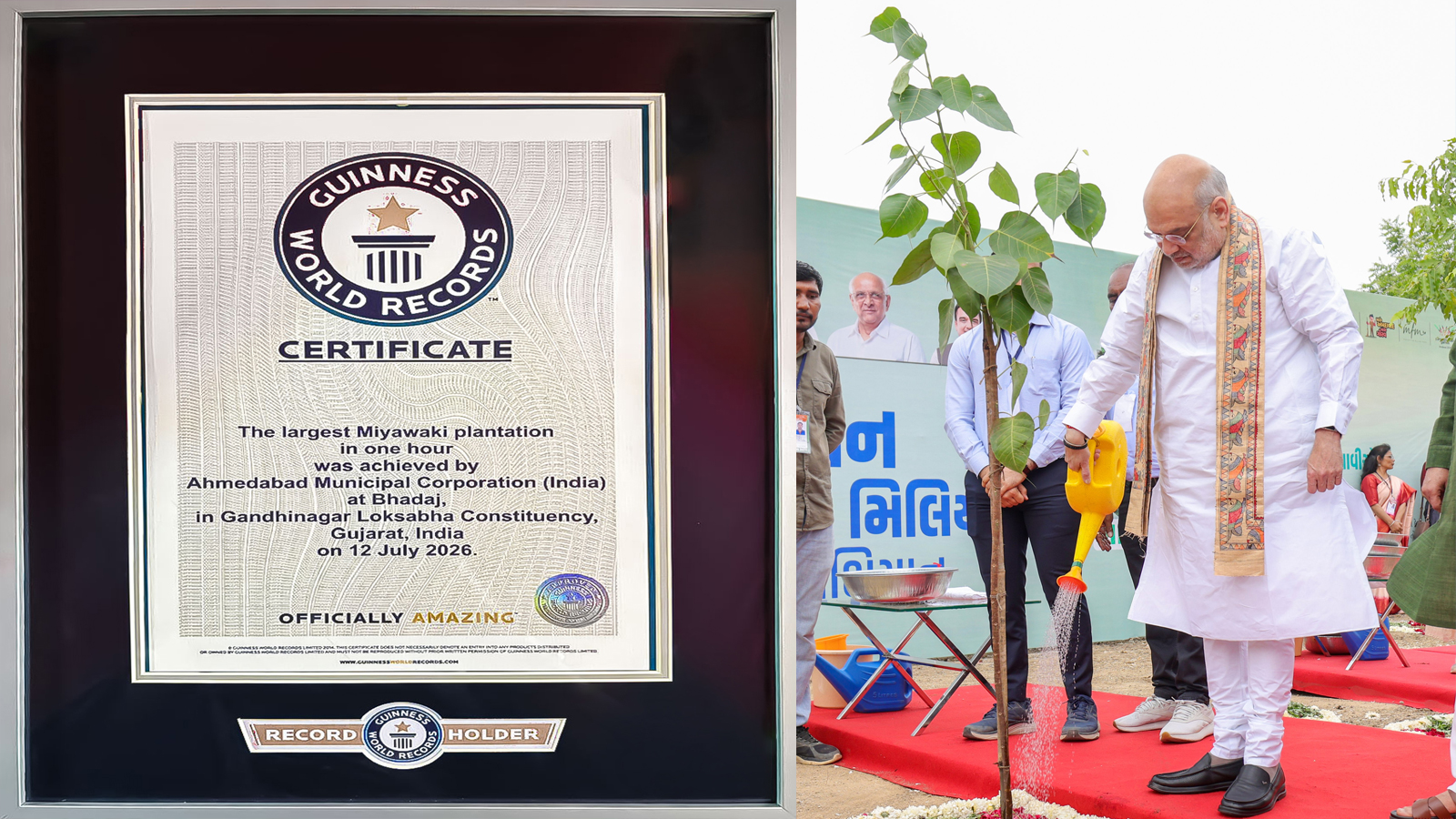 અમદાવાદમાં એક કલાકમાં 3.61 લાખ રોપા વવાયા એ મિયાવાકી મેથડ શું છે ?