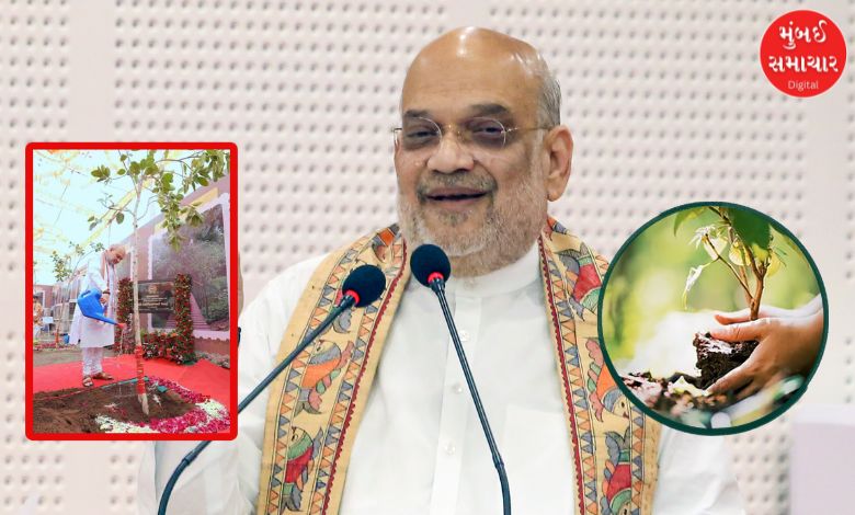 અમિત શાહની હાજરીમાં અમદાવાદ બનશે ગ્રીન: 'મિશન 5 મિલિયન ટ્રી' અંતર્ગત 101 ઓક્સિજન પાર્કનું લોકાર્પણ