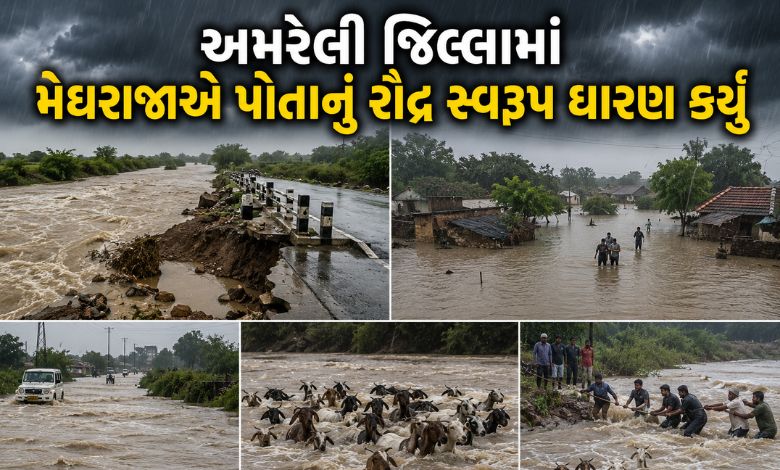સૌરાષ્ટ્રની કઈ નદીમાં ભારે વરસાદથી પૂર ? 35 બકરાં તણાઈ ગયાં, ક્યું શહેર ભારે વરસાદથી પાણીમાં ડૂબ્યું ?