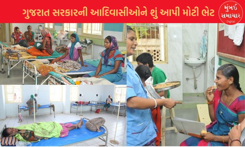 ગુજરાત સરકારે આદિવાસીઓને શું આપી મોટી ભેટ ? જાણો વિગત