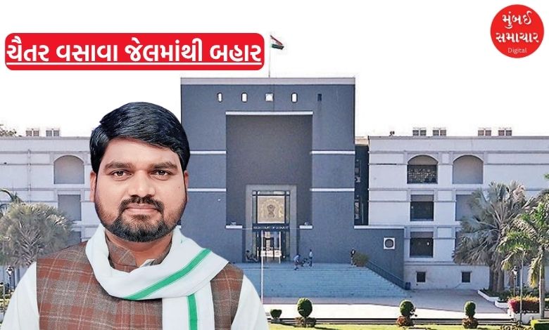 ચૈતર વસાવા જેલમાંથી બહાર, હાઈ કોર્ટે આપ્યાં કેટલા દિવસના જામીન?