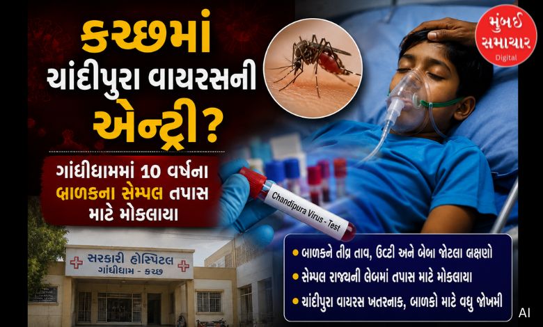કચ્છમાં ચાંદીપુરા વાયરસની એન્ટ્રી? ગાંધીધામમાં ૧૦ વર્ષના બાળકના સેમ્પલ તપાસ માટે મોકલાયા