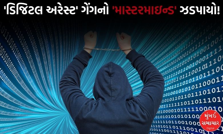 ગુજરાત પોલીસનું 'મેગા ઓપરેશન': ₹ 1,071 કરોડના આંતરરાષ્ટ્રીય સાયબર ફ્રોડનો માસ્ટરમાઇન્ડ આસામથી ઝડપાયો